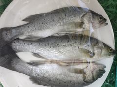 -龙香居海鲜浑锅家常菜·特色驴肉