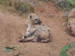 -泉州海丝野生动物世界