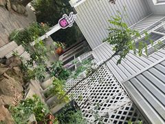 -九龙潭景区