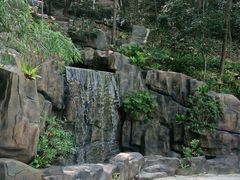 -广州市流溪河国家森林公园