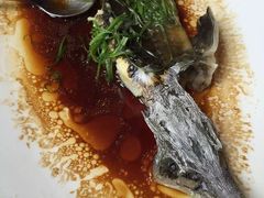 鲟鱼-旺顺阁海鲜广场(亚运村店)