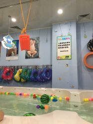 -开心岛儿童水上主题俱乐部(三环路店)