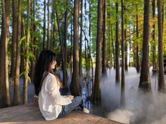 -东湖落雁景区