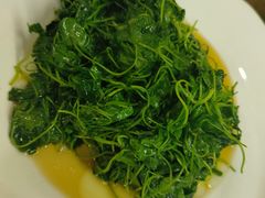 -协和菜馆(凤凰街店)