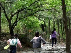 -阳台山自然风景区