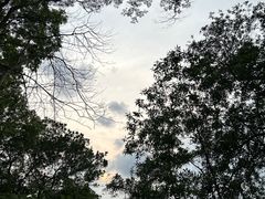 -深圳市中科院仙湖植物园