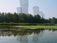 -蒲河岛湿地公园