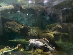 -泉州海丝野生动物世界