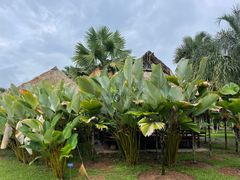 -中国科学院西双版纳热带植物园