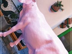-Carmen卡门西班牙餐厅