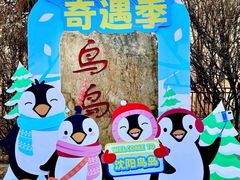 -沈阳鸟岛