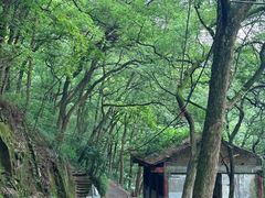 -重庆海昌加勒比海水世界