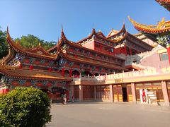 -东莞市大岭山森林公园