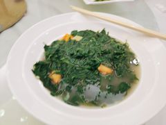 上汤枸杞叶鱼青丸-黄埔华苑酒家(黄埔店)