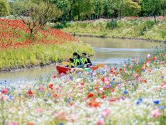-上海金山城市沙滩