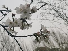 -堤角公园