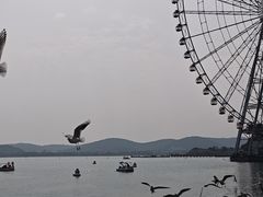 -蠡湖大桥公园