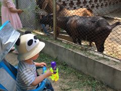 -西安秦岭野生动物园