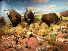 -陕西自然博物馆