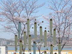 -钱塘江
