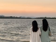 -瑶湖郊野森林公园