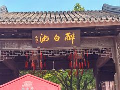 -上海醉白池公园