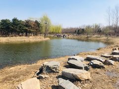 -大兴滨河森林公园