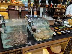 -夜市全日餐厅·洲际酒店(石家庄洲际酒店)