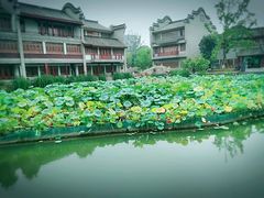 -龙潭水乡