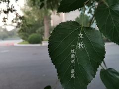 -棒棰岛宾馆景区