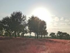 -汉长安城未央宫国家考古遗址公园