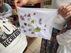 -三亚亚龙湾红树林度假酒店