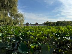 -长春市南湖公园