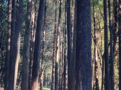 -华南国家植物园-售票处