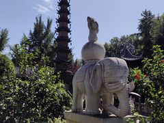 -洞子口张老二凉粉(文殊院店)