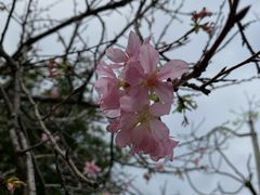 -聚龙山公园