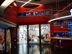 -上海金逸影城(静安大悦城店（原新恒星影城）)