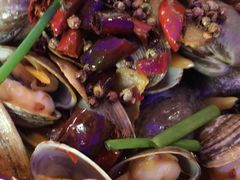 -老板恋上鱼(恒隆广场店)