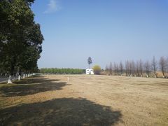 -漕湖湿地公园