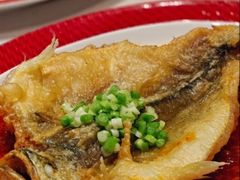 -圆苑(静安寺店)