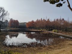 -长广溪湿地公园