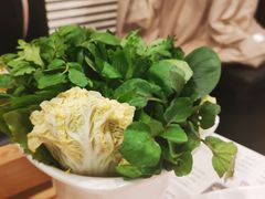 -烹然四季椰子鸡火锅(团结湖总店)