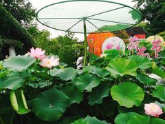 -桃源居(蠡园店)