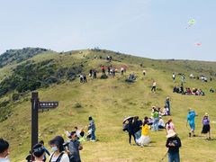 -大姆山草场