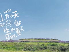 -光明小镇欢乐田园