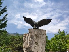 -北京鹫峰国家森林公园
