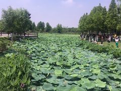 -董永七仙女文化园