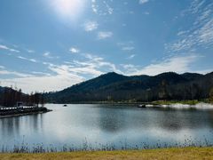 -千年银杏谷文化旅游区