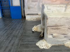 -南京海底世界