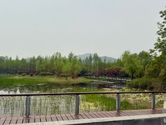 -长广溪湿地公园